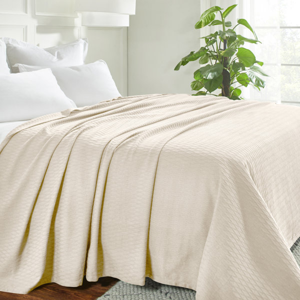 Nestwell Cotton Microfiber Blanket | Wayfair